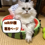 saiki91様　専用ページ　手作りマスク　大きめ大人用　★夏用★