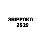 専用ページ