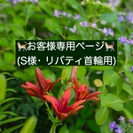 お客様専用ページ🐈(S様)