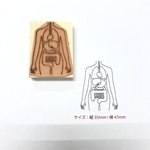 人体模型　内蔵スタンプ　中