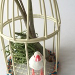 文鳥 エアプランツつき 