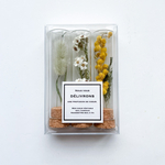 BOTANICAL フラワーボトルセット
