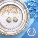 海の幻想ピアス　パーツ変更　チタンポストピアス　イヤリング　シェル　貝殻　星の砂　海　夏　サマー　レジン　クリア