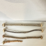 【tomoyasu1048】鳥 とまり木  自然木（クヌギ）のパーチ 直径1.5cm／長さ44cm 