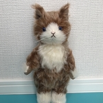 『オーダー品』寅次郎4号(ねこ・Mサイズ)