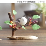 シマエナガとエゾヤマザクラ(実)1羽　【部屋の中で野鳥観察シリーズ】