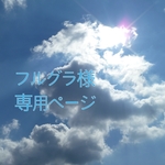 フルグラ様専用ページ