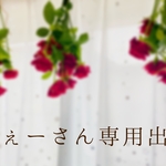 ねぇーさん専用出品