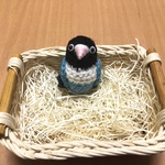 めりりんさま専用♡ボタンインコちゃん（ブルーボタン）