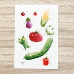 🍅透明水彩画「夏野菜」イラストポストカード2枚セット　野菜  メッセージカード　暑中見舞い　残暑見舞い　暑中見舞いハガキ🍆