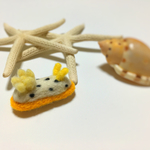 羊毛フェルトのシロウミウシ