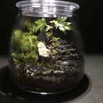 苔テラリウム　LEDライトつき 石段 ver.4リメイク