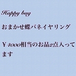 Happy bag  蝶バネイヤリング