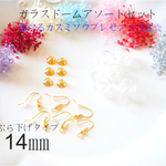 NEW!¥700☆【6個セット】14㎜ぶら下げタイプガラスドームアソート♪選べるカスミソウプレゼント付き