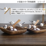シマエナガと白玉ぜんざい　じゃれつきバージョン【部屋の中で野鳥観察シリーズ】