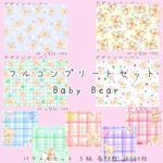 《Baby Bear》コンプリートセット 