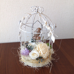 winter birdcage