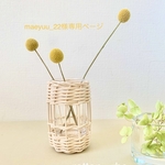 maeyuu_22さま専用ページ