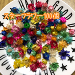 スターフラワー100個　ヘッドのみ