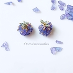 タンザナイトの紫陽花ピアス