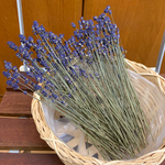 ドライフラワー　無農薬ラベンダー　濃紫