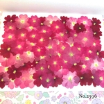 ♡new♡選別前だからお安く♡バーベナの押し花セット♡