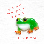 むっちりカエル☆ブローチ☆オキナワアオガエル☆