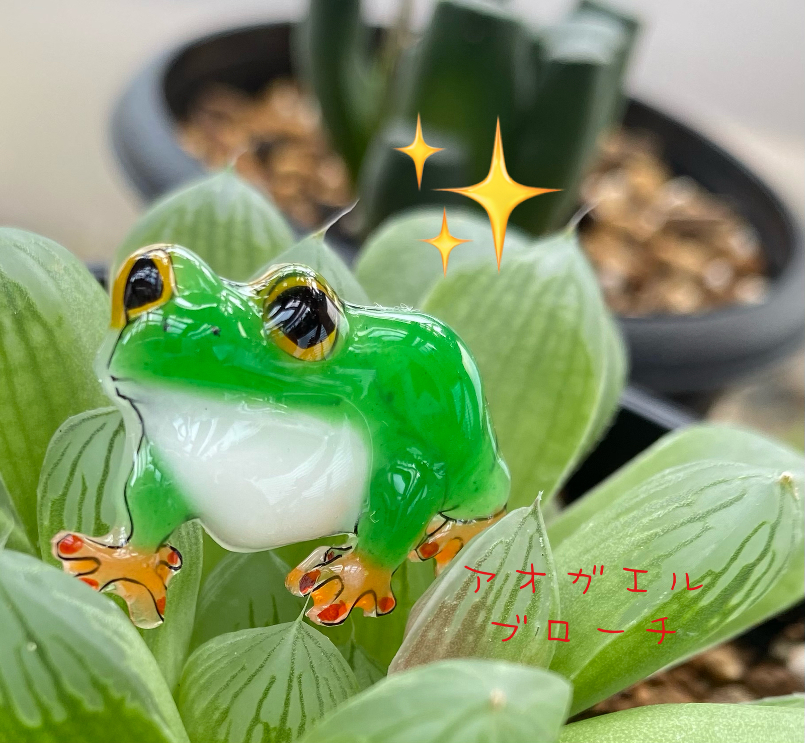 むっちりカエル☆ブローチ☆オキナワアオガエル☆ - いきものや