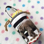 リアルな動物達のペットボトルケース(小)
