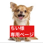 専用ページ