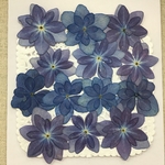 NO.79N 再販✨デニムカラーの八重紫陽花／押し花素材