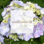 ♡matunoshita様専用ページ♡