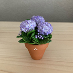 紫陽花　ミニチュア花鉢　9