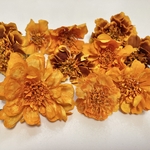 マリーゴールド＊ヘッドドライ10個