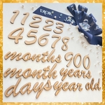 木製 レターバナマンスリーカード 月齢フォト 誕生日 記念日 バースデー 誕生日飾り