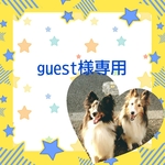 guest様専用