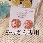 Eriseさん専用ページ