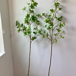 ドウダンツツジ　葉っぱたっぷりモデル3 フェイクグリーン　2本　110cm 枝　