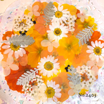 ♡new♡  ♡可愛い押し花セット♡ ♡たくさん入って使いやすい押し花セット♡