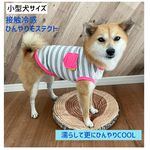 小型犬　接触冷感　ネオンボーダータンクトップ　犬服　服　ひんやりCOOL モステクト