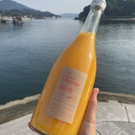 ノンケミカル不知火果汁