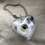 カプセルほこり虫B