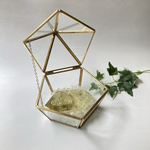 🌿天然石浄化セット🌿　✨ペンタゴン　空間浄化