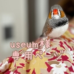 useum 様専用ページ　冬 インナーバッグ　小鳥・小動物のおでかけ・通院・避難用キャリー バッグ （いっしょに おでかけ ウィズ キャリー Sサイズ）
