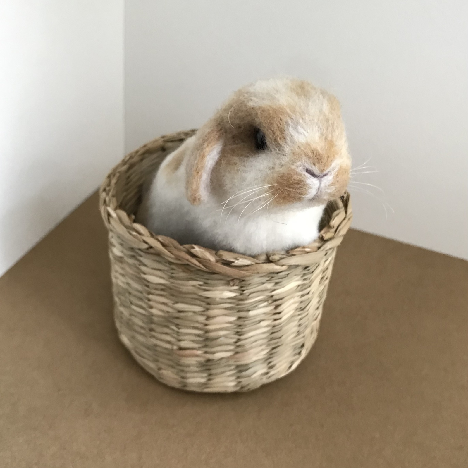 うさぎ 羊毛フェルト ロップイヤー ミニうさぎ ブロークンオレンジ う