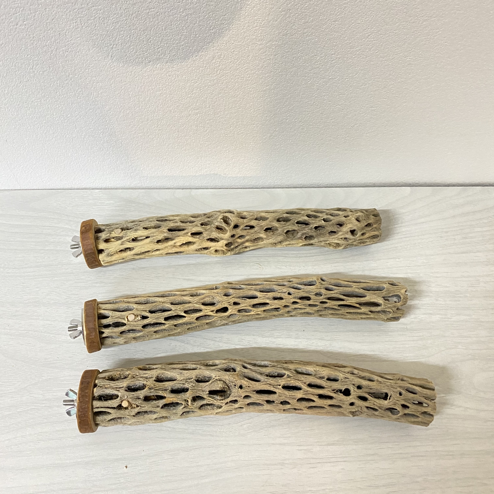 鳥 とまり木 カクタスパーチ（サボテンのとまり木）25cm×3本