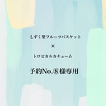 🍋予約No.⑧様専用ページ🍎