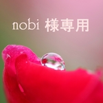 nobi様専用ページ
