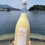 Low chemical レモン果汁 ・SALE期間限定商品オレンジカード2個付き セット