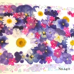 ♡new♡  ♡可愛い押し花セット♡ ♡たくさん入って使いやすい押し花セット♡